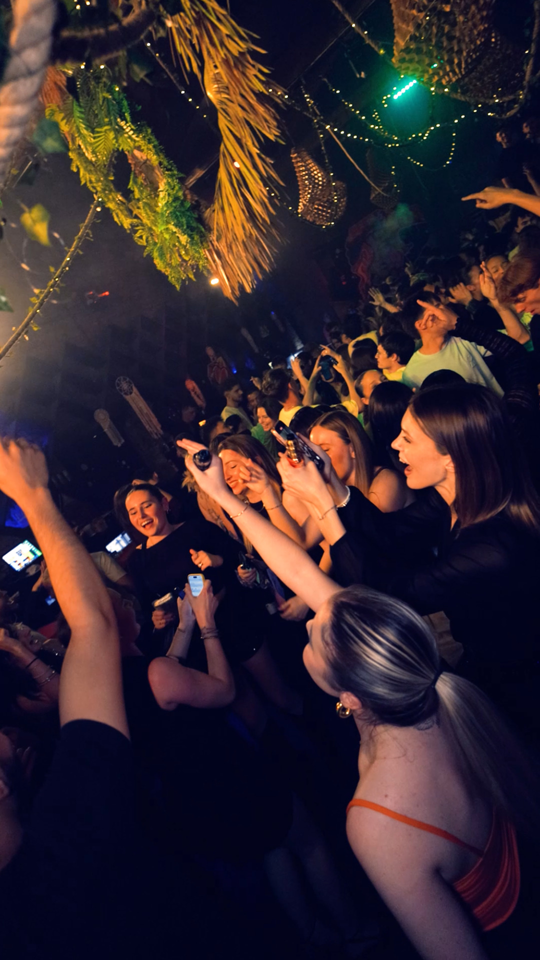 Vue inclinée d’une piste de danse bondée, ambiance joyeuse avec lumières chaudes et éléments végétaux suspendus.